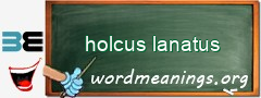WordMeaning blackboard for holcus lanatus